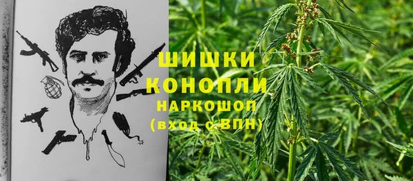 стафф Зеленодольск