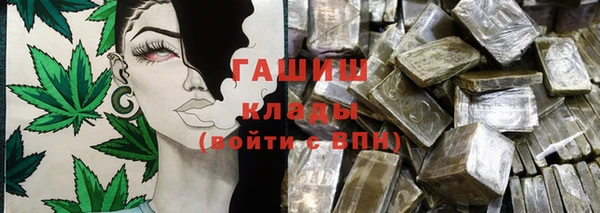 соль ск Ельня