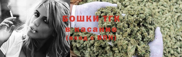дживик Зеленокумск