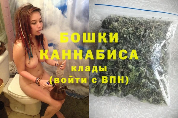дживик Зеленокумск