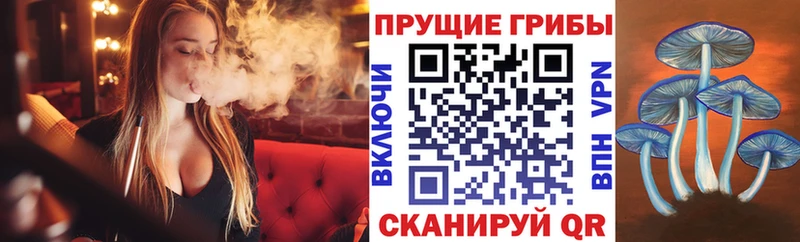 Купить закладки  Гудермес  Галлюциногенные грибы MAGIC MUSHROOMS 
